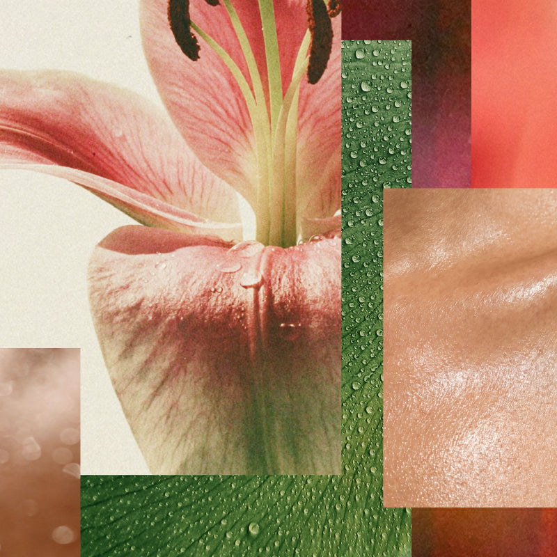 Fragrance Layering for Your Body: How to Make Your Scent Last All Day