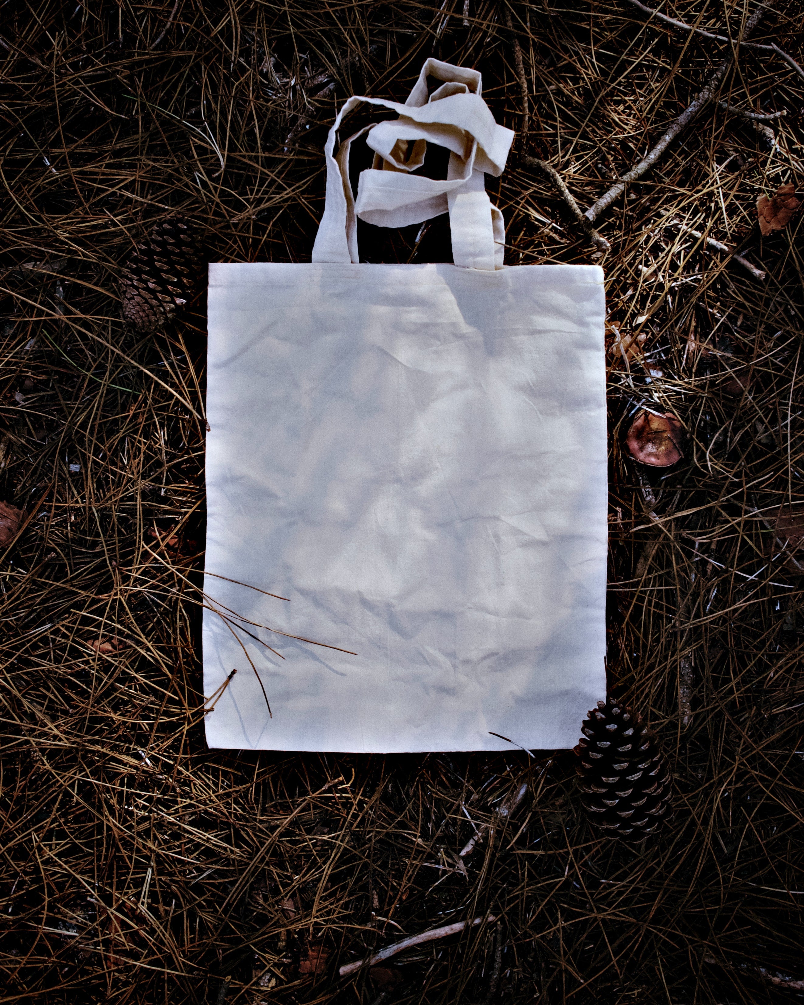 Reusable canvas tote seen from above, laying flat on a patch of grass