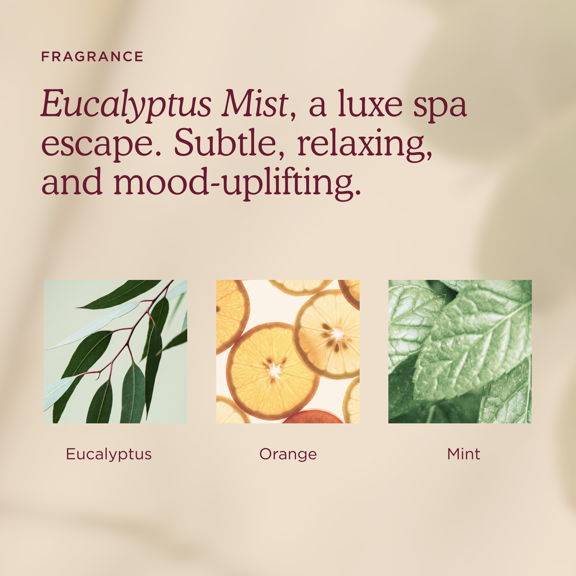 Cocoon Cleanse