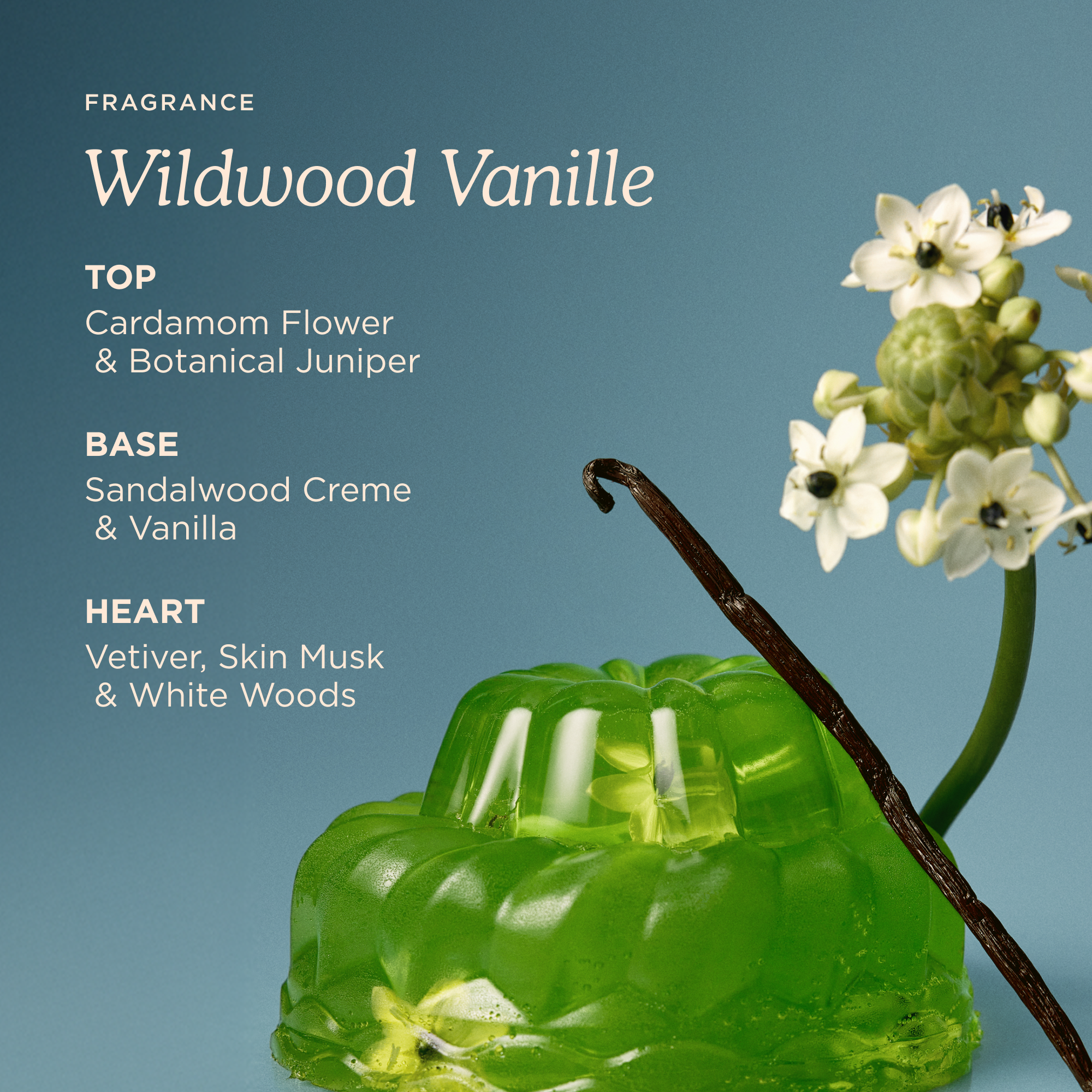 Wildwood Vanille Essentials