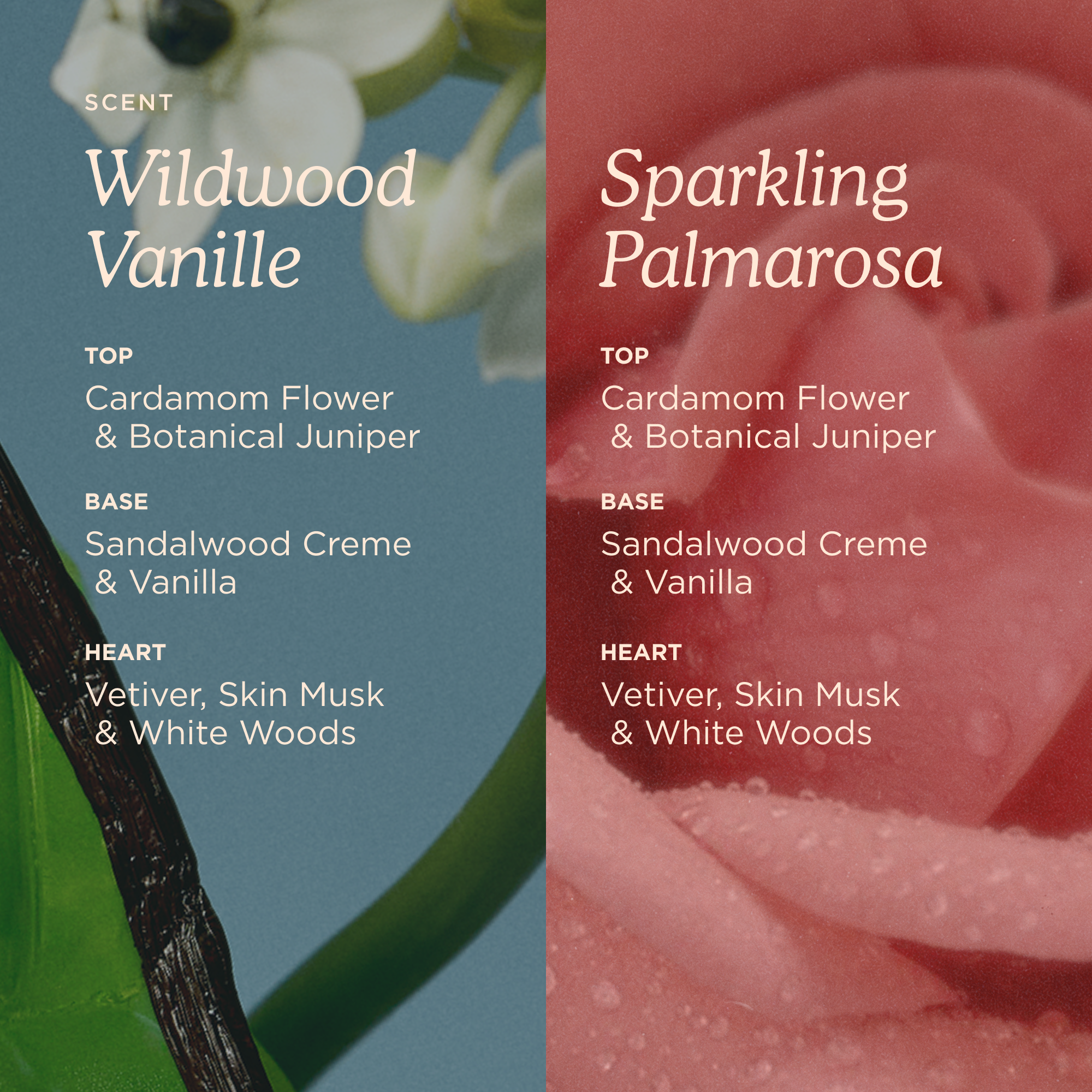 Water Balm Fragrance Duo